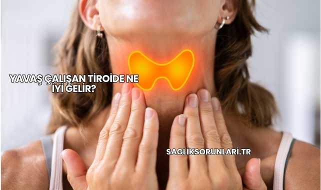 Yavaş Çalışan Tiroide Ne İyi Gelir?