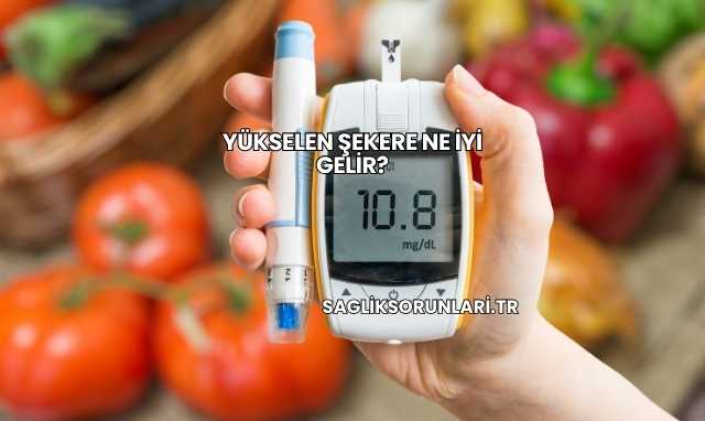 Yükselen Şekere Ne İyi Gelir?