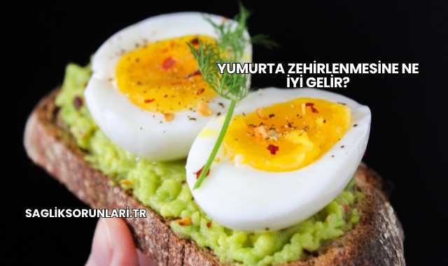 Yumurta Zehirlenmesine Ne İyi Gelir?