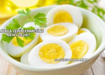 Yumurta Zehirlenmesine Ne İyi Gelir?