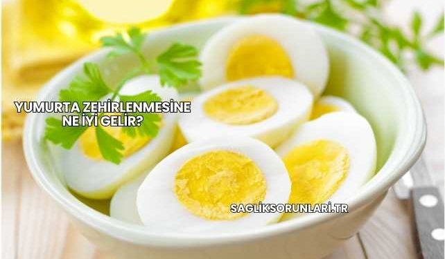 Yumurta Zehirlenmesine Ne İyi Gelir?