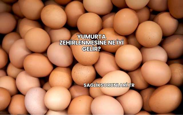 Yumurta Zehirlenmesine Ne İyi Gelir?