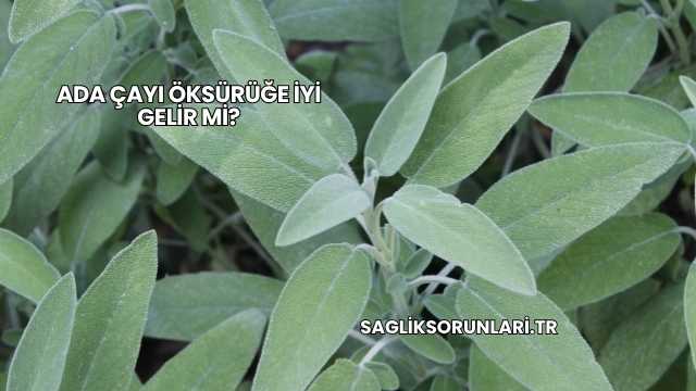 Ada Çayı Öksürüğe İyi Gelir mi?