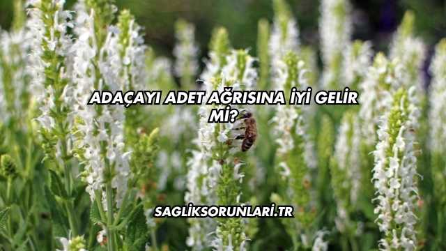 Adaçayı Adet Ağrısına İyi Gelir mi?