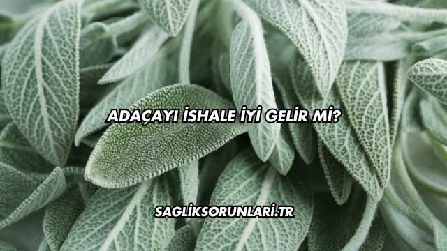 Adaçayı İshale İyi Gelir mi?