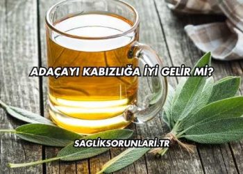Adaçayı Kabızlığa İyi Gelir mi?