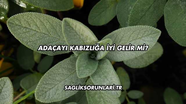 Adaçayı Kabızlığa İyi Gelir mi?