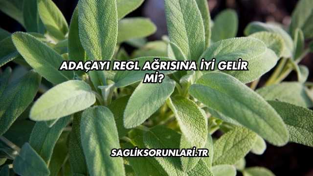 Adaçayı Regl Ağrısına İyi Gelir mi?
