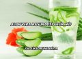 Aloe Vera Basura İyi Gelir mi?