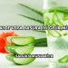 Aloe Vera Basura İyi Gelir mi?
