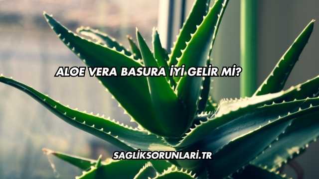 Aloe Vera Basura İyi Gelir mi?
