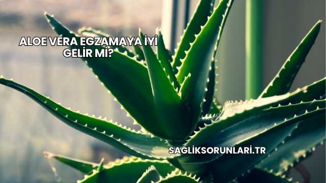 Aloe Vera Egzamaya İyi Gelir mi?