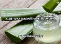 Aloe Vera Kaşıntıya İyi Gelir mi?