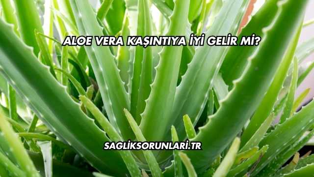 Aloe Vera Kaşıntıya İyi Gelir mi?