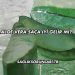 Aloe Vera Saça İyi Gelir mi?