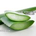 Aloe Vera Sivilceye İyi Gelir mi?
