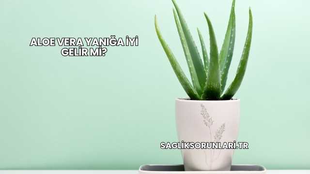 Aloe Vera Yanığa İyi Gelir mi?