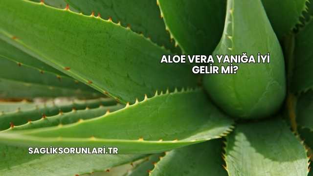 Aloe Vera Yanığa İyi Gelir mi?
