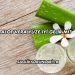 Aloe Vera Yüze İyi Gelir mi?
