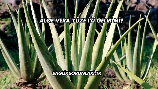 Aloe Vera Yüze İyi Gelir mi?