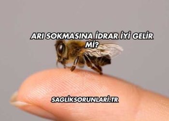 Arı Sokmasına İdrar İyi Gelir mi?