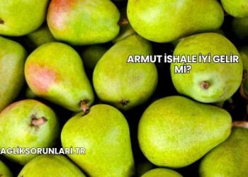 Armut İshale İyi Gelir mi?