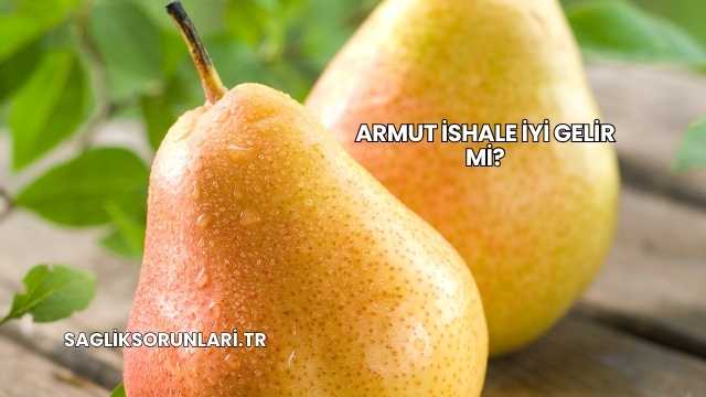 Armut İshale İyi Gelir mi?