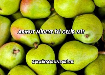 Armut Mideye İyi Gelir mi?