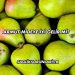 Armut Mideye İyi Gelir mi?