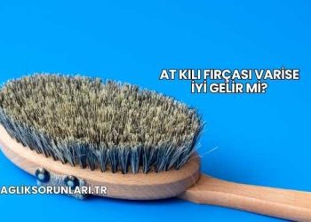 At Kılı Fırçası Varise İyi Gelir mi?