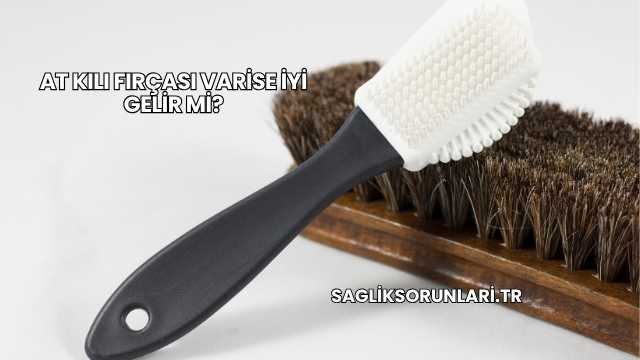At Kılı Fırçası Varise İyi Gelir mi?