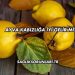 Ayva Kabızlığa İyi Gelir mi?