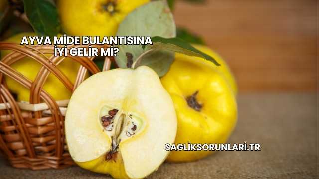 Ayva Mide Bulantısına İyi Gelir mi?