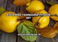 Ayva Mide Yanmasına İyi Gelir mi?