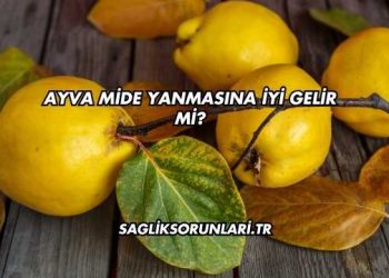 Ayva Mide Yanmasına İyi Gelir mi?