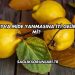 Ayva Mide Yanmasına İyi Gelir mi?