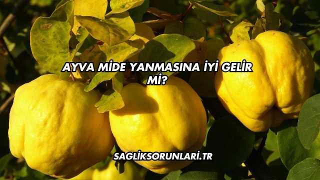Ayva Mide Yanmasına İyi Gelir mi?