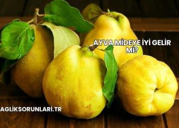 Ayva Mideye İyi Gelir mi?