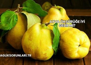 Ayva Öksürüğe İyi Gelir mi?