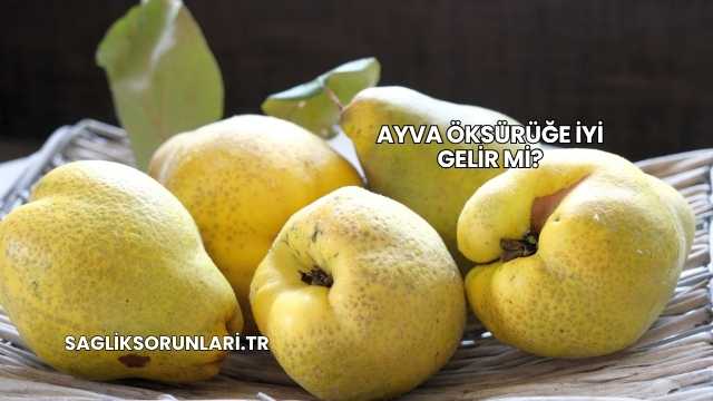 Ayva Öksürüğe İyi Gelir mi?
