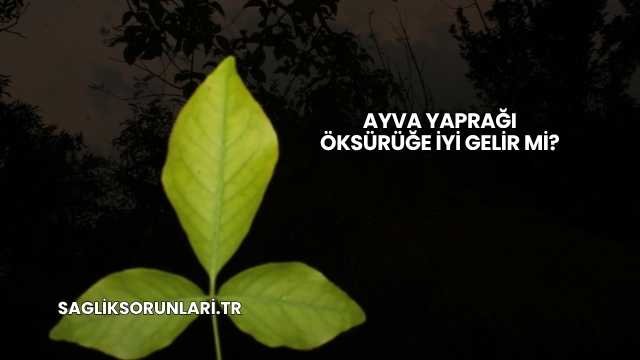 Ayva Yaprağı Öksürüğe İyi Gelir mi?