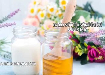 Ballı Süt Öksürüğe İyi Gelir mi?
