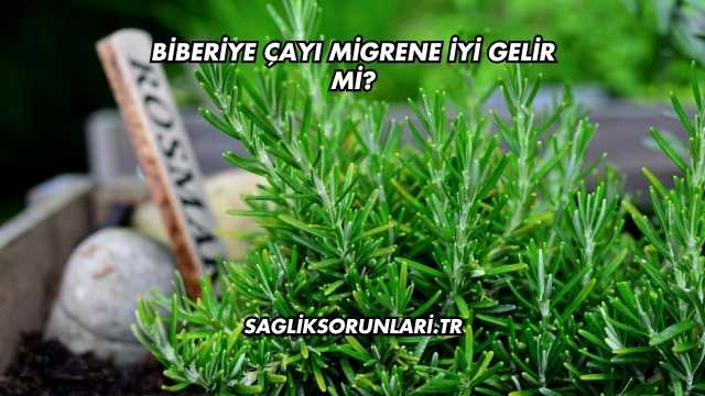 Biberiye Çayı Migrene İyi Gelir mi?
