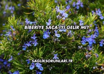 Biberiye Saça İyi Gelir mi?