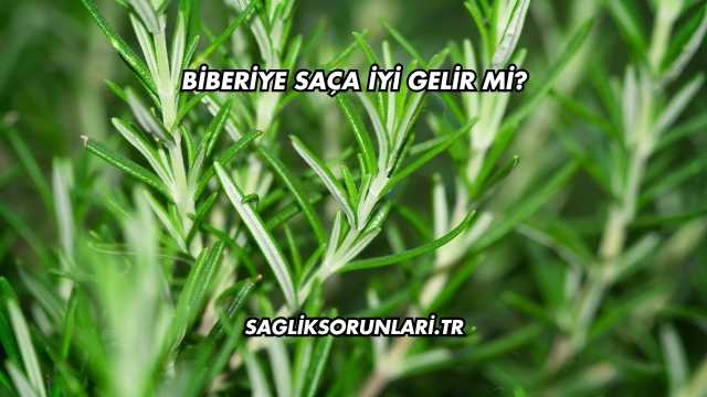 Biberiye Saça İyi Gelir mi?