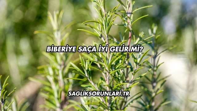 Biberiye Saça İyi Gelir mi?