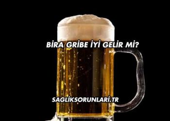 Bira Gribe İyi Gelir mi?