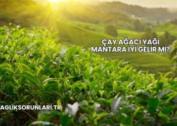 Çay Ağacı Yağı Mantara İyi Gelir mi?