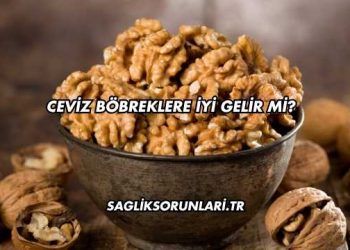 Ceviz Böbreklere İyi Gelir mi?