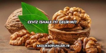 Ceviz İshale İyi Gelir mi?